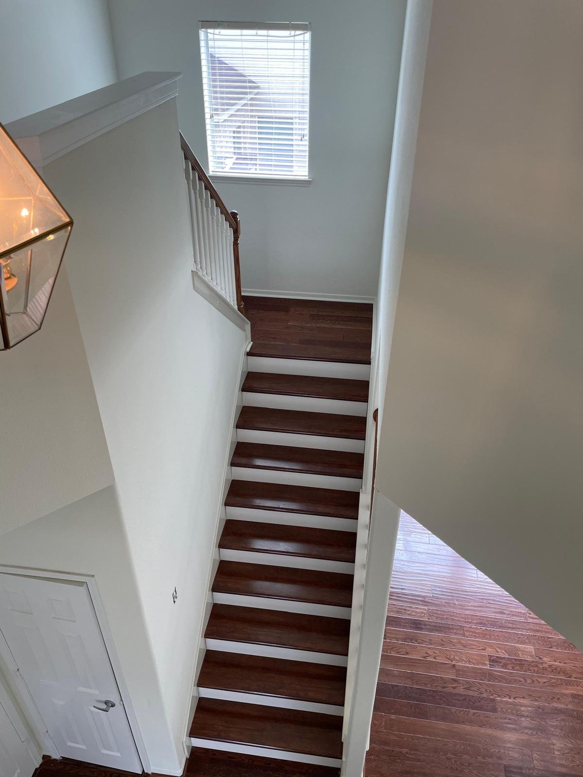 Painting Excellence with Attention to Detail